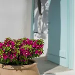 Vima Santorini, Traditional Luxury *
